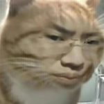 Stars_Seeker的头像-LZM's Blog