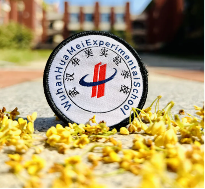 武汉华美校讨论区-LZM's Blog